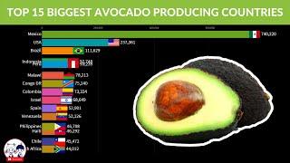 Top 15 Biggest Avocado Producing Countries