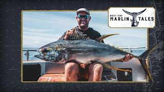 Season of the Yellowfin? Chasing Tuna in NZ Waters!