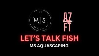 LET’S TALK FISH - WITH @MS AQUASCAPING