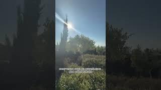 ВНЖ на Северном Кипре на 5 лет без подтверждения доходов