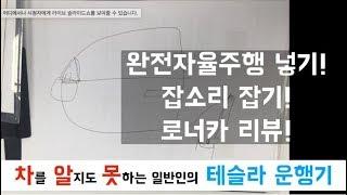 [차알못 테슬라] 완전자율주행장착! 잡소리 잡기, 로너카 리뷰!박스