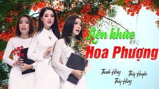 Liên Khúc Hoa Phượng | Siêu Phẩm Bolero Ba Chị Em - Thúy Huyền, Thúy Hằng, Thanh Hồng [Official MV]