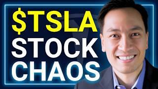 TSLA Stock Volatility, FSD Progress and Elon's OpenAI Takeover