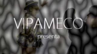 PROYECTO VIPAMECO - UN NUEVO COMIENZO