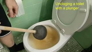 How to unclog a toilet with a plunger