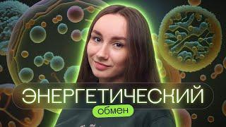 Энергетический обмен | Катя Грицай | Биология ЕГЭ