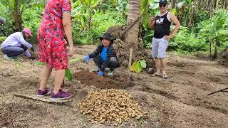 SI ATE EDNA MAY MGA KASAMA MAGTANIM NG LUYA, SINO SILA? / VAL SANTOS MATUBANG/ KALINGAP RAB,