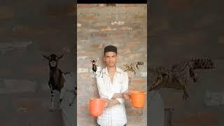 sab nadeyo so Aala papi #trending #viralvideo #vfx #shorts
