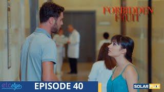 Forbidden Fruit Episode 40 | FULL EPISODE | TAGALOG DUB | Turkish Drama