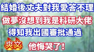 結婚後丈夫對我愛答不理，做夢沒想到我是科研大佬，得知我出國審批通過，他悔哭了！