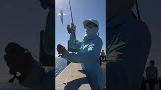 PENSACOLA PIER FISHING | BAIT AND BONITA