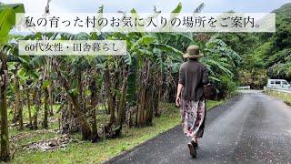 60代女性•私が育った村のお気に入りの場所をご案内。猫達が見送る。海はもう夏模様。