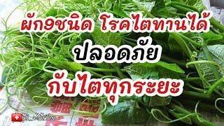 ผัก9ชนิด โรคไตทานได้ ปลอดภัยกับไตทุกระยะ|รู้ไว้จะได้ไม่ป่วย|โรคไต