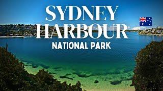 Sydney Harbour National Park  | Walking Tour | 4K