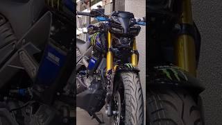 New 2024 Monster Energy Yamaha MT-15 MotoGP Edition