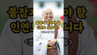 붙잡지 말아야 할 인연도 있습니다 #법륜스님 말씀 #시절인연 #법륜스님 #불교지혜 #인생명언 #shorts