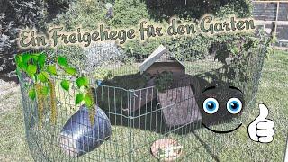 Freigehege / Gartengehege für Meerschweinchen richtig gestalten - Wie fühlen sie sich wohl / sicher?