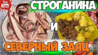 Строганина по Якутски и тушеный северный заяц