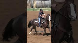 Training Sessions on Young Horses with Joy Wargo on Between The Reins #barrelracing #horsetraining