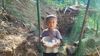 Single mother, 17 years old, overjoyed when chickens laid eggs, Ly Tieu Anh