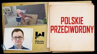 POLSKIE PRZECIWDRONY - rewolucja nadciąga!