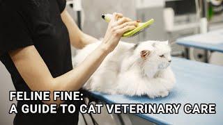 Feline Fine: A Guide to Cat Veterinary Care