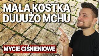 Jak usunąć mech z kostki brukowej? Mycie kostki brukowej Kraków`| DOMINIKMALUJE #41