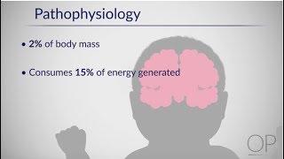 Therapeutic Hypothermia: Treatment of Hypoxic Ischemic Encephalopathy Part 1 by D. Casey