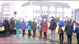 Ланцюг єдності в Олевську