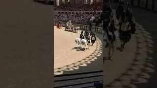 Le Signe du Triomphe #puydufou #france #gladiators