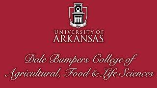 Spring 2023 Dale Bumpers College of Agricultural, Food and Life Sciences Commencement