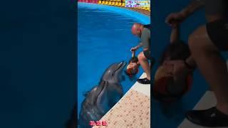 Dolphin  fish beautiful moment #shortsfeed #dolphin #youtubeshorts