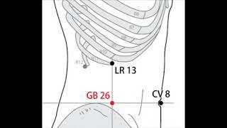 2 A Acupuncture, 26 VB, Dai Mai, 带脉, point des leucorrhées et des dysménorrhées