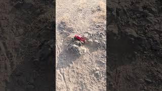 Test ride || #rcuniverse #rockcrawler #rctruck