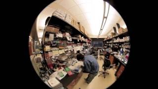 Inspired Science at Gladstone