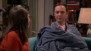 TBBT Теплый пушистый котенок спит 