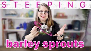 Soocha Tea's BARLEY SPROUT taste test on Tea with Jann!