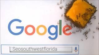 FLORIDA ADVERTISING and VIDEO MARKETING / SEOsouthwestFLORIDA