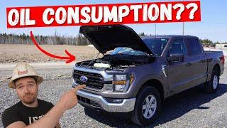 Ford F150 5L COYOTE V8 Engine | Top 5 Issues **Heavy Mechanic Reviews**