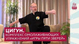 Цигун. Комплекс омолаживающих упражнений "Игры пяти зверей" | У Цинь Си | Московское долголетие