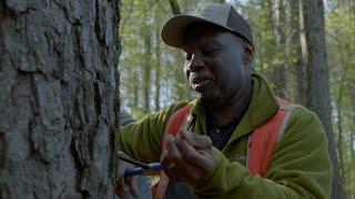 Forest Champion: Alton Perry | Keeping Forests