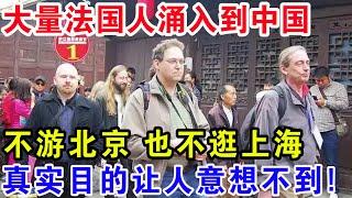 大量法国人涌入到中国，不游北京 也不逛上海。真实目的让人意想不到！