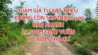 (đã bán) Quá rẻ chỉ 520 triệu/ 1000m2 đất vườn thổ cư mặt tiền bê tông gần Sân bay #đất_đồng_nai