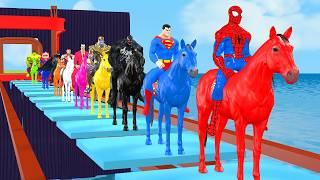 Siêu nhân nhện️Spider Man vs Squid game horse racing challenge across glass bridge vs Shark Spider