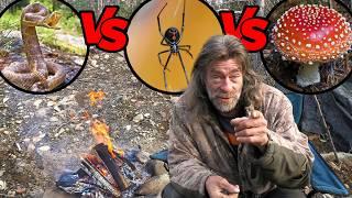 What Will Kill You First? Snake or Mushroom or Spider | Venom vs Poison