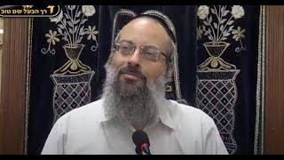 שיעור סנדוויץ' בישיבה | דב שכול או גורילה פצועה | כנגד כל הסיכויים