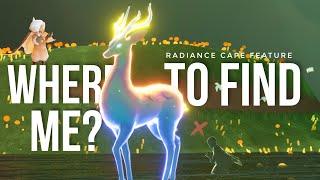 Where to Find Nine Coloured Deer after Last Quest? | Sky cotl | Noob Mode