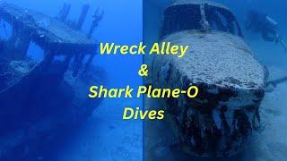 Shipwreck Alley & Shark Plane-O Dives