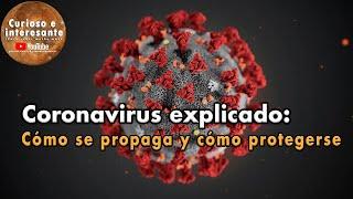 Coronavirus explained: how it spreads and how to protect yourself from COVID-19