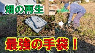 045 【畑の再生 ③】今回はツルだらけの山椒を伐採しました！